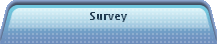 Survey